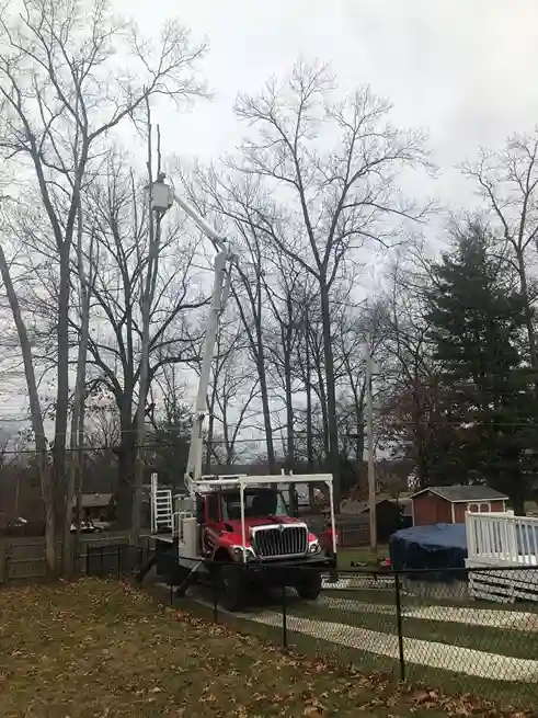 Penn West bucket truck removing storm-damaged trees behind a home in Hermitage, PA