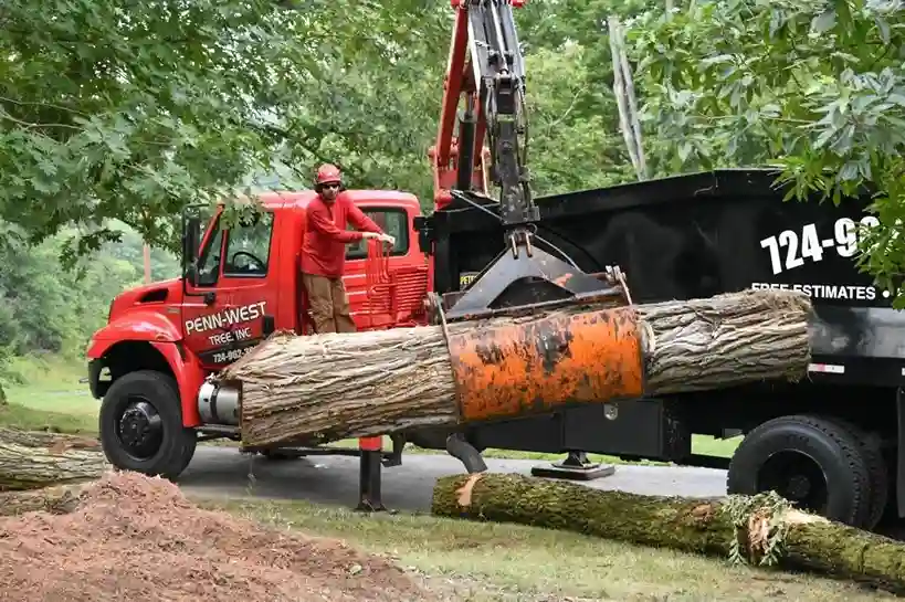 Penn West Tree Inc crew loading logs with a crane truck in Hermitage, PA